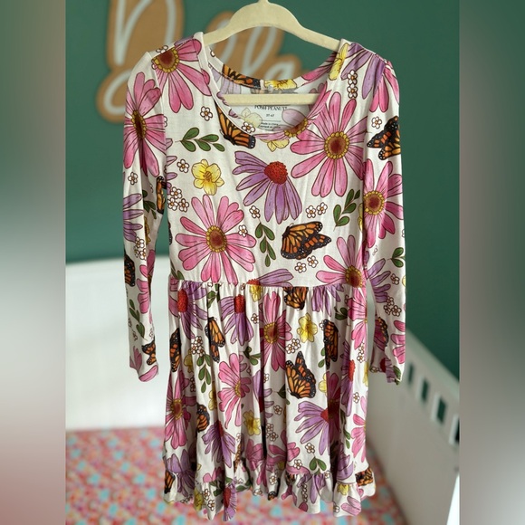 Posh Peanut Other - Posh Peanut Kaavia 3T-4T twirl dress